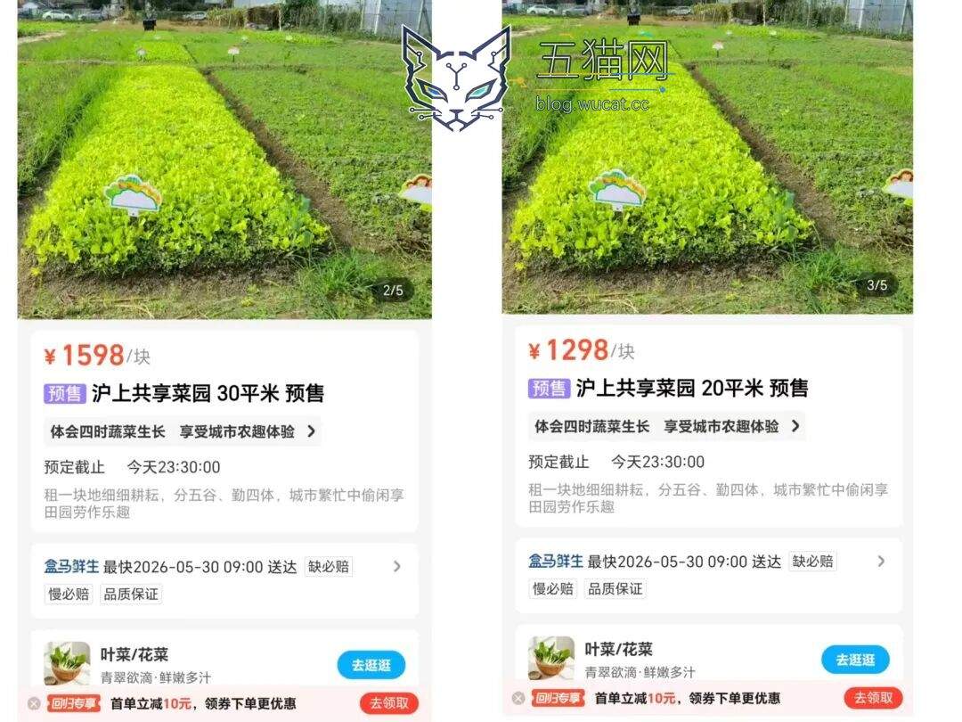 现实版 QQ 农场?盒马 App 可下单租地种菜,客服称正在小范围试点