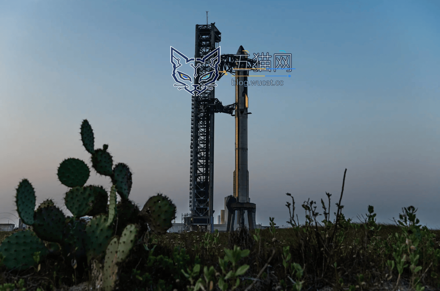 把 SpaceX 当提款机?揭秘马斯克如何借其为自己和商业帝国“输血”