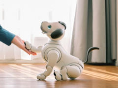 索尼宣布 AI 机器狗 aibo ERS-1000 将在日本停售，将继续开发新产品与服务五猫网 - AI工具、API服务与独立产品开发五猫网
