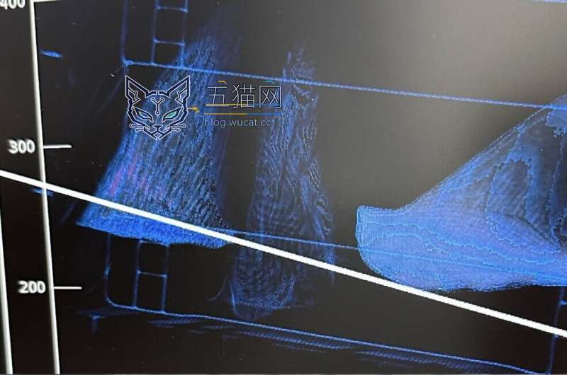 AI 算法助力打击海洋野生动物走私,识别准确率达 92%
